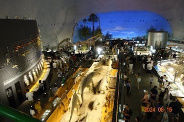 福井県立恐竜博物館に投稿された画像（2024/8/15）