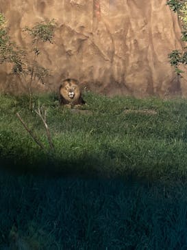 日立市かみね動物園に投稿された画像（2024/8/15）