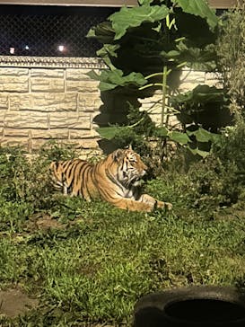 日立市かみね動物園に投稿された画像（2024/8/15）