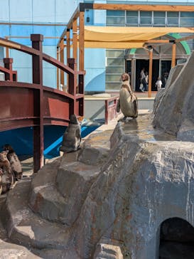 南知多ビーチランド＆南知多おもちゃ王国に投稿された画像（2024/8/15）