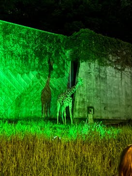 名古屋市東山動植物園に投稿された画像（2024/8/15）