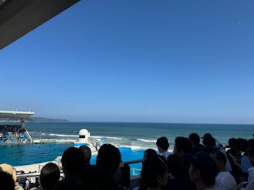 鴨川シーワールドに投稿された画像（2024/8/15）