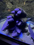仙台うみの杜水族館に投稿された画像（2024/8/15）