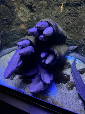 仙台うみの杜水族館に投稿された画像（2024/8/15）