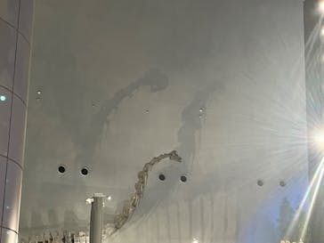 福井県立恐竜博物館に投稿された画像（2024/8/15）