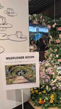 モネ＆フレンズ・アライブに投稿された画像（2024/8/15）