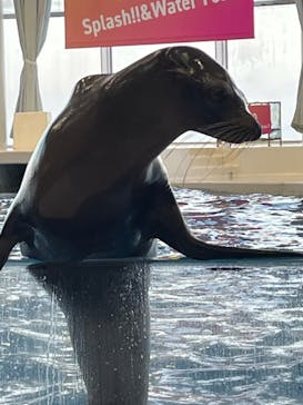 アクアワールド茨城県大洗水族館に投稿された画像（2024/8/15）