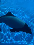 仙台うみの杜水族館に投稿された画像（2024/8/15）