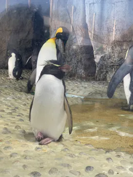 仙台うみの杜水族館に投稿された画像（2024/8/15）