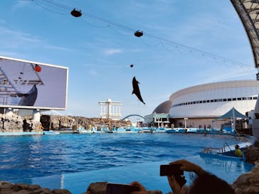 名古屋港水族館に投稿された画像（2024/8/15）