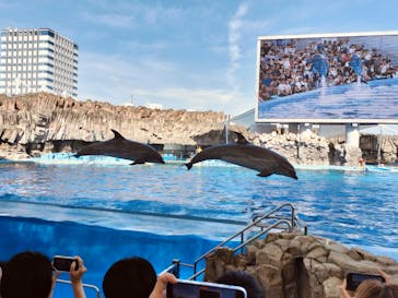 名古屋港水族館に投稿された画像（2024/8/15）