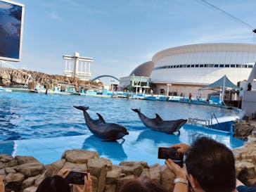 名古屋港水族館に投稿された画像（2024/8/15）