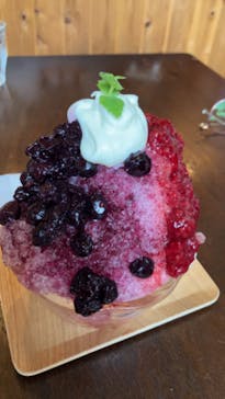 体験予約・はことれに投稿された画像（2024/8/15）