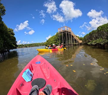 サウスワードカヤッククラブに投稿された画像（2024/8/15）