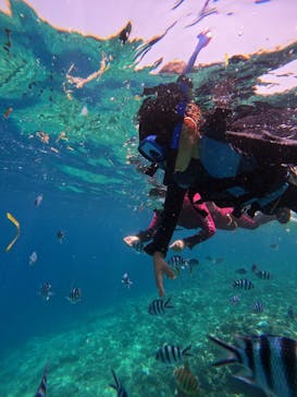 沖縄マリンサービス碧に投稿された画像（2024/8/12）