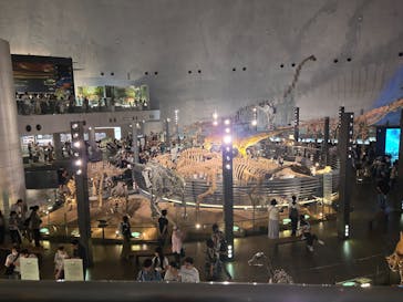 福井県立恐竜博物館に投稿された画像（2024/8/15）