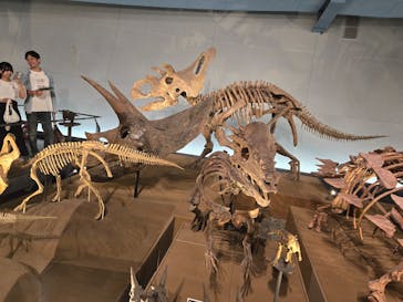 福井県立恐竜博物館に投稿された画像（2024/8/15）