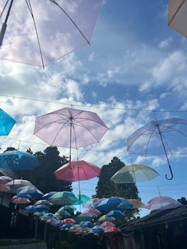 加賀 伝統工芸村　ゆのくにの森に投稿された画像（2024/8/15）