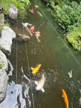 加賀 伝統工芸村　ゆのくにの森に投稿された画像（2024/8/15）