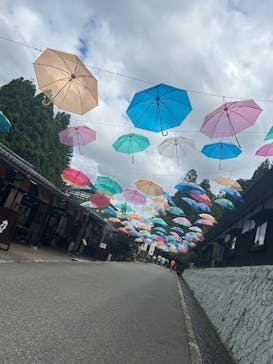 加賀 伝統工芸村　ゆのくにの森に投稿された画像（2024/8/15）