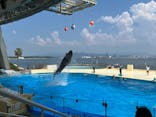 マリンワールド海の中道に投稿された画像（2024/8/16）