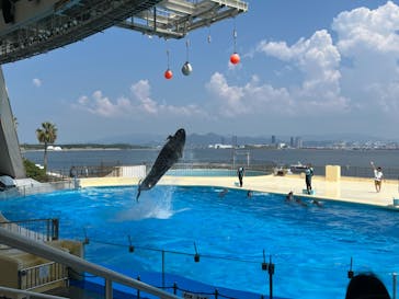 マリンワールド海の中道に投稿された画像（2024/8/15）
