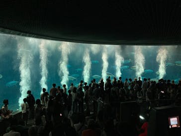 葛西臨海水族園に投稿された画像（2024/8/15）