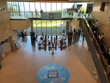 滋賀県立琵琶湖博物館に投稿された画像（2024/8/15）