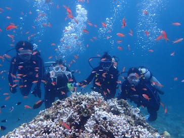 初心者専門店NEOMARINE石垣島に投稿された画像（2024/8/15）