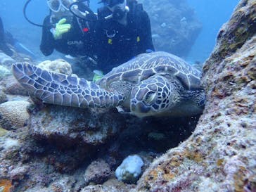 初心者専門店NEOMARINE石垣島に投稿された画像（2024/8/15）