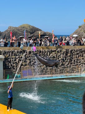 越前松島水族館に投稿された画像（2024/8/15）