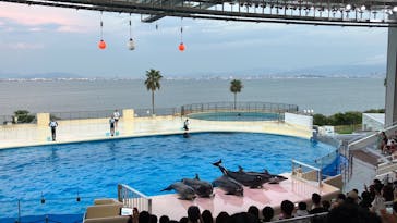 マリンワールド海の中道に投稿された画像（2024/8/15）