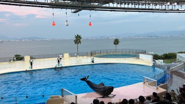 マリンワールド海の中道に投稿された画像（2024/8/15）