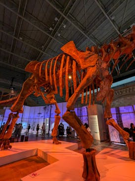 巨大恐竜展2024に投稿された画像（2024/8/15）