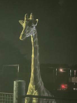 那須サファリパークに投稿された画像（2024/8/15）