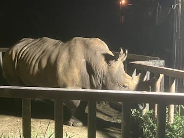 那須サファリパークに投稿された画像（2024/8/15）