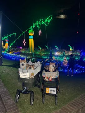 せんだい農業園芸センター　みどりの杜に投稿された画像（2024/8/15）