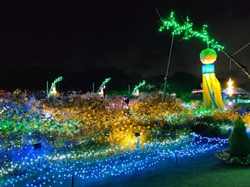 せんだい農業園芸センター　みどりの杜に投稿された画像（2024/8/15）