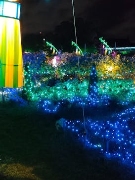 せんだい農業園芸センター　みどりの杜に投稿された画像（2024/8/15）