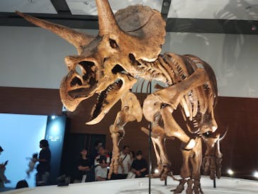 DinoScience 恐竜科学博 ～ララミディア大陸の恐竜物語～ 2024@OSAKAに投稿された画像（2024/8/15）