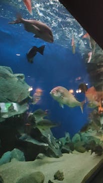 マリンワールド海の中道に投稿された画像（2024/8/15）