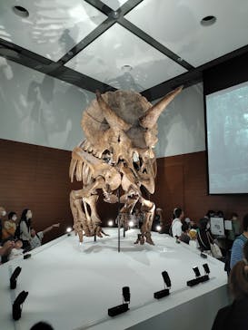 DinoScience 恐竜科学博 ～ララミディア大陸の恐竜物語～ 2024@OSAKAに投稿された画像（2024/8/15）