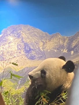 恩賜上野動物園に投稿された画像（2024/8/15）