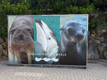 城崎マリンワールドに投稿された画像（2024/8/15）