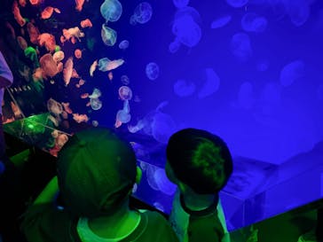 名古屋港水族館に投稿された画像（2024/8/15）