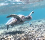 nico 宮古島に投稿された画像（2024/8/16）