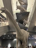 福井県立恐竜博物館に投稿された画像（2024/8/16）