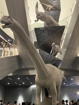 福井県立恐竜博物館に投稿された画像（2024/8/15）