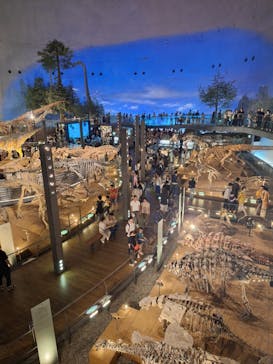 福井県立恐竜博物館に投稿された画像（2024/8/15）
