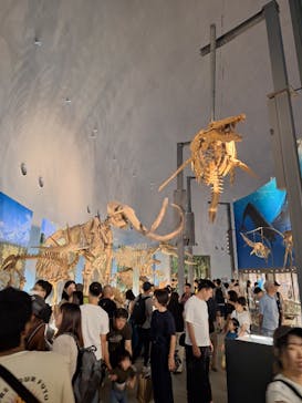 福井県立恐竜博物館に投稿された画像（2024/8/15）